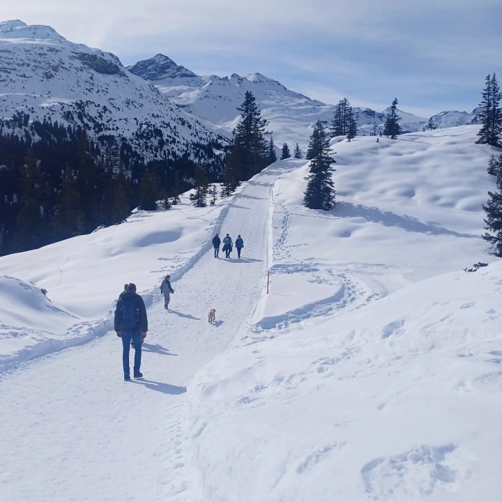 Winterwandelaars in de sneeuw bij Clarezia